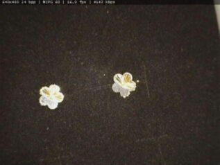 FLOWER TWO TONES EARRING